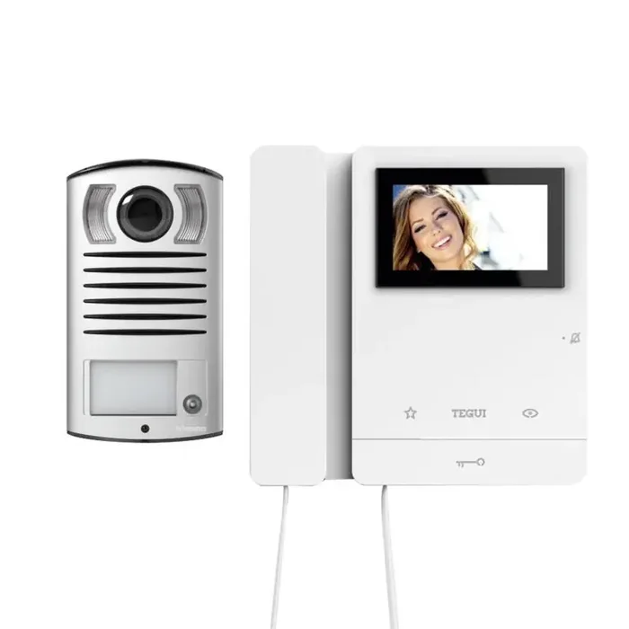 1 House 2-Wire Video Entry Kit with LINEA 2000 Panel and Serie 8 Monitor TEGUI 378121 – Ledkia