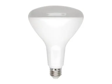 12 Watt 120V LED Dimmable BR40 Light Bulb