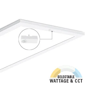 2PK LED 2X4 SPEC-SELECT™ Back Lit Flat Panel, Wattage and CCT Selectable, Dimmable, 120-277V