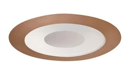 441W-ABZ 4″ Low Voltage Adj. Frosted Lens with Clear Center Trim, Aged Bronze Trim