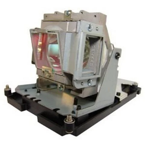 AL™ Series 5811100795-S Lamp & Housing for Vivitek Projectors – 90 Day Warranty