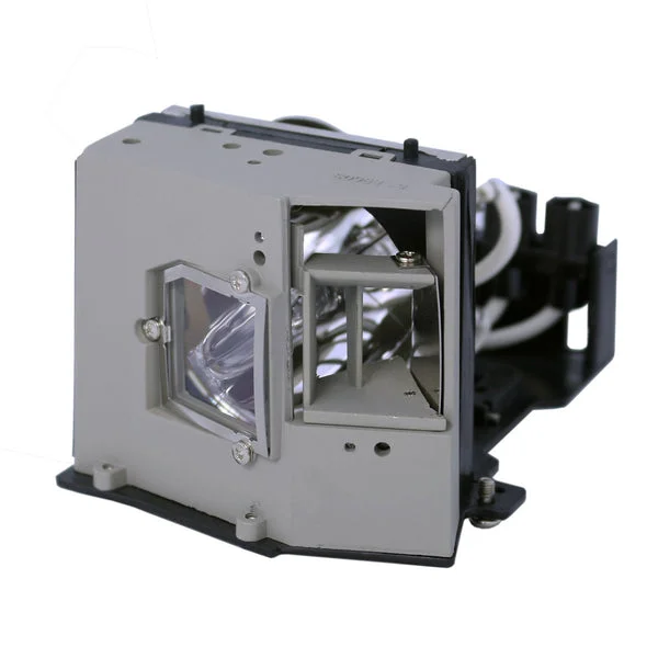 AL™ Series EC.J2901.001 Lamp & Housing for Acer Projectors – 90 Day Warranty