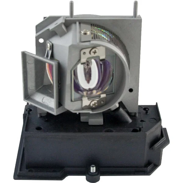 AL™ Series Lamp & Housing for The Acer P5390W Projector – 90 Day Warranty