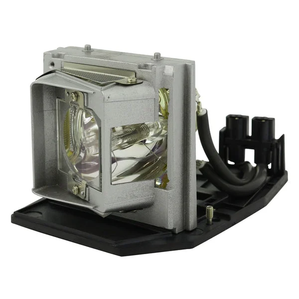 AL™ Series Lamp & Housing for The Acer P7290 Projector – 90 Day Warranty