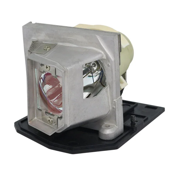 AL™ Series Lamp & Housing for The Acer V100 Projector – 90 Day Warranty