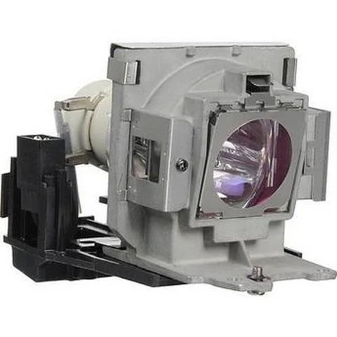 AL™ Series Lamp & Housing for the Infocus XS1 Projector – 90 Day Warranty