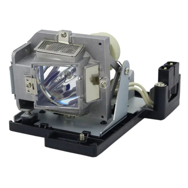 AL™ Series Lamp & Housing for The Optoma DS317 Projector – 90 Day Warranty