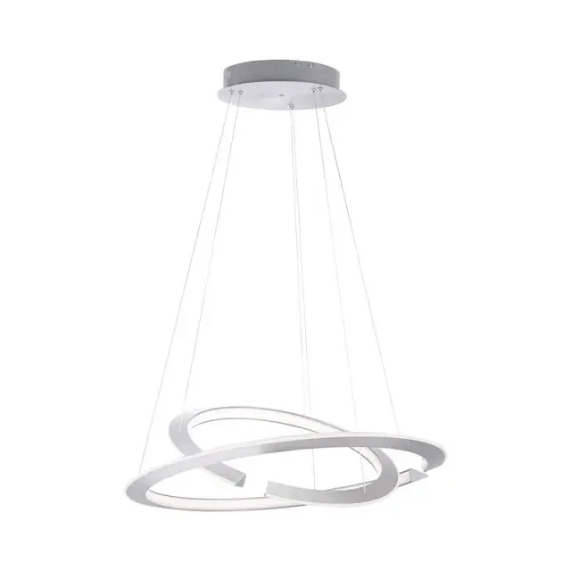 ALESSA 2 Light Double Ringed Pendant Light