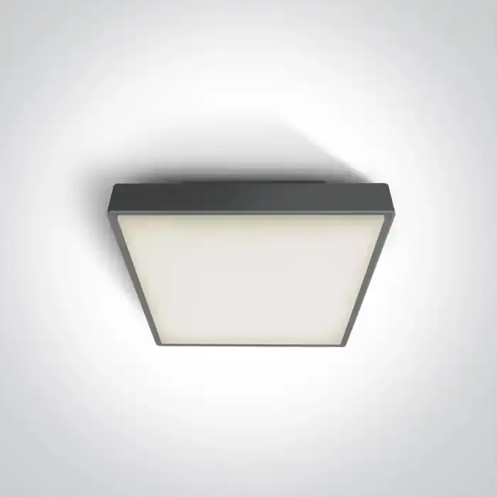 Anthracite E27 plafo light, ABS body and PC diffuser, IP65 rate, ideal for indoorand outdoor application.