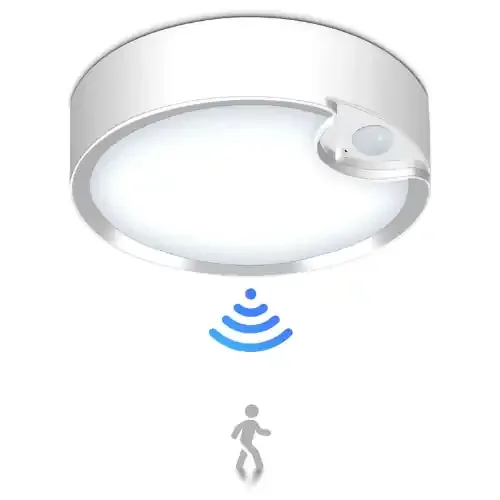 Battery Operated Indoor Motion Sensor Ceiling Light