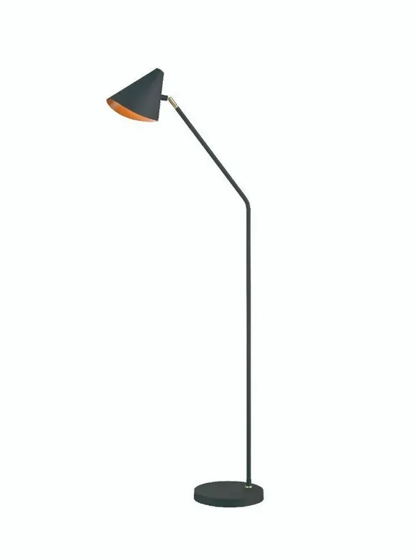 Black and Gold Adjustable Floor Lamp