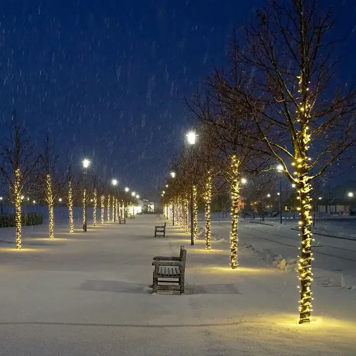 Connectable Professional Grade Outdoor Christmas String Lights – Flashing