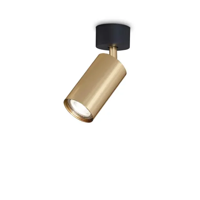 Dynamite PL1 Brass with Black Adjustable Tube Ceiling Spotlight