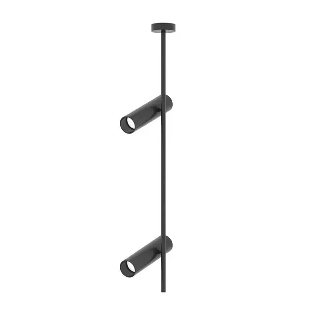 Elti 2 Light Black Adjustable Ceiling Spotlight