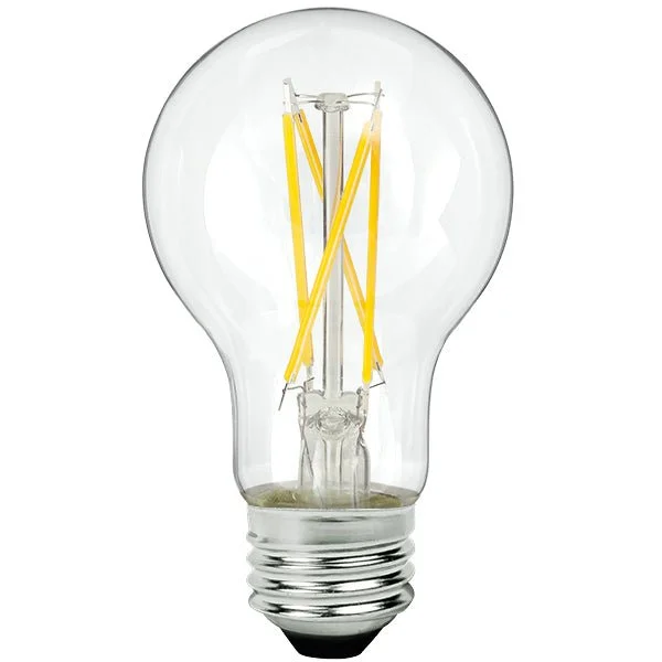 Envision Filament A19 4W (12V) Dimmable
