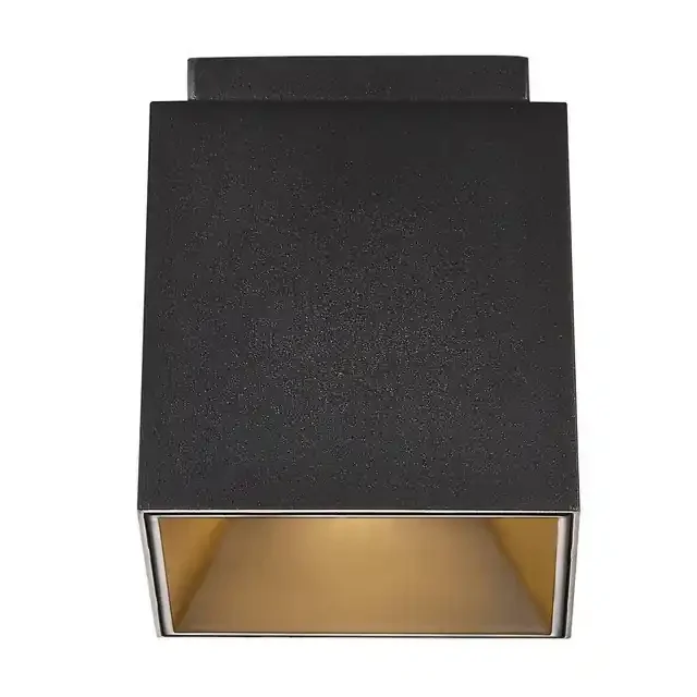 Ethan Black with Gold Reflector Surface Downlight