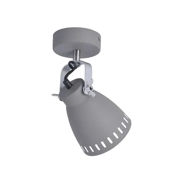 EVA Grey Adjustable Wall or Ceiling Light