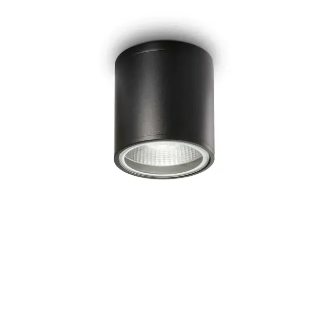 Gun PL1 Black IP44 Surface Downlight