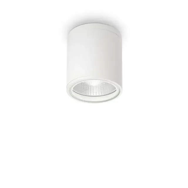 Gun PL1 White IP44 Surface Downlight