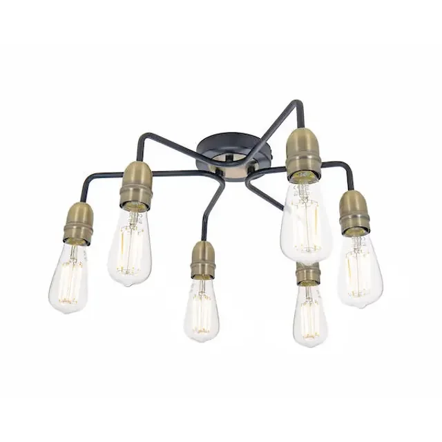 Kiefer 6 Light Black and Antique Brass Flush Ceiling Light