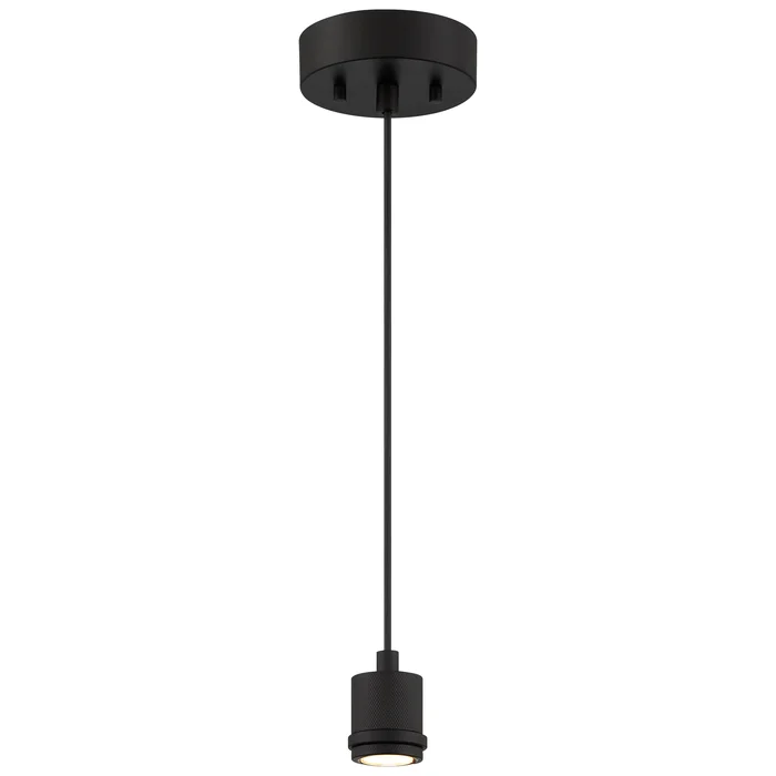 LED Pendant Light, 600 Lumens, 9W, Matte Black Finish, 120V, Port Nine Stark