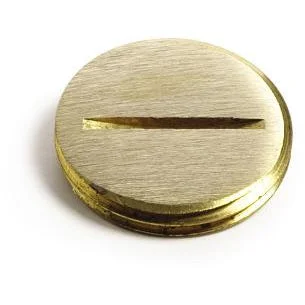 Lew Electric Screw Plug 524-3/4 Floor Box Covers – Brass