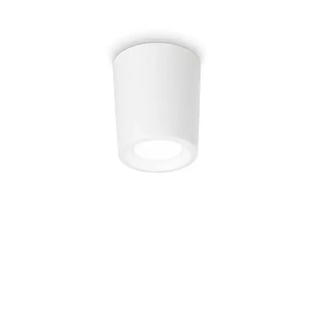 Livia PL White 60cm Resin IP55 Surface Downlight