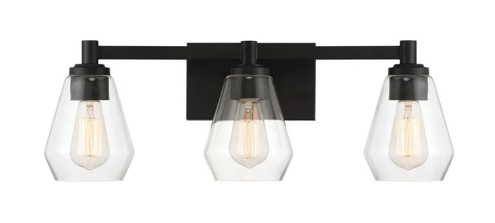 Minka Lavery 5703-66A Clarity Three Light Bath Vanity, Coal