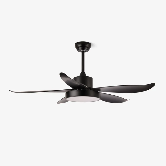 Noctura Glide Ceiling Fan Light
