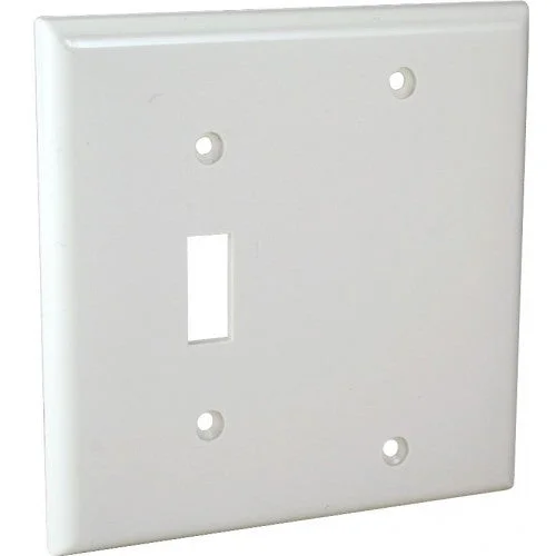 Orbit OP113-W 2-Gang Wall Plate Switch/Blank – White