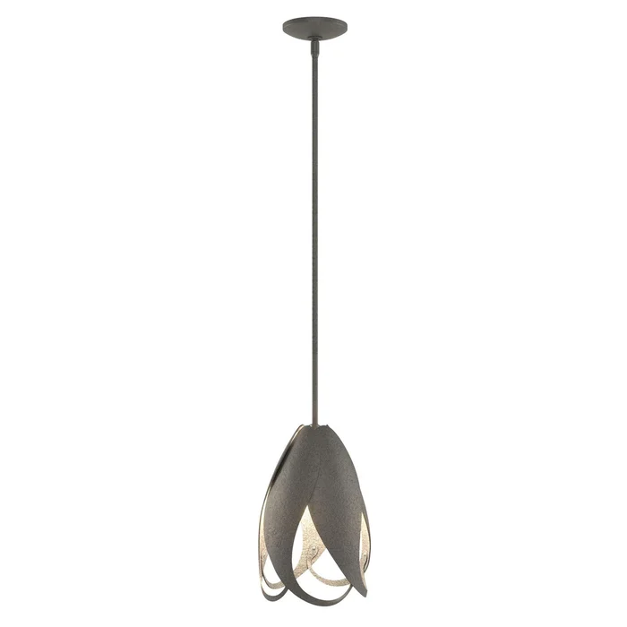 Pental One Light Mini Pendant in Natural Iron (39|188770-SKT-MULT-20)