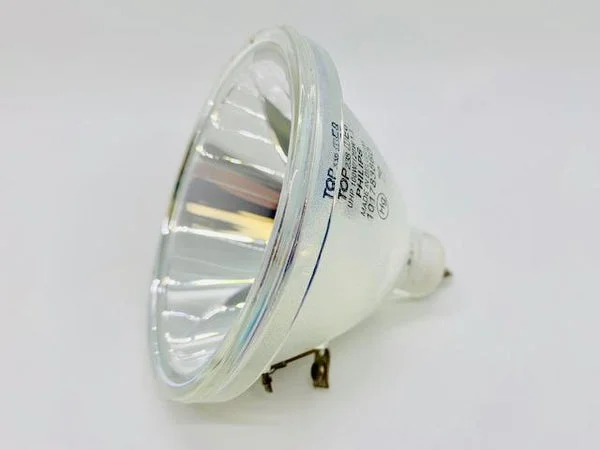 Philips P23 100/120W 1.3 AC Bare Lamp 9281 385 05390 – 1 Year Warranty