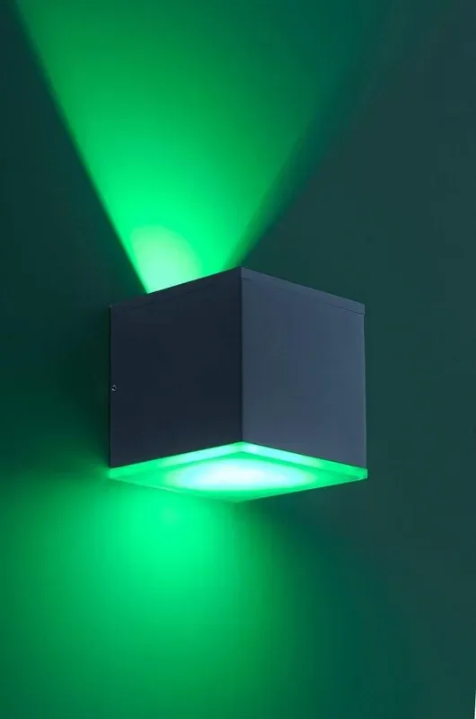 Q-ALBERT 2 Light Anthracite Smart IP65 LED Wall Light