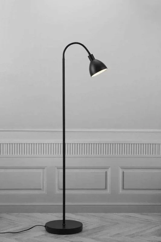 Ray Single Headed Black Floor Lamp