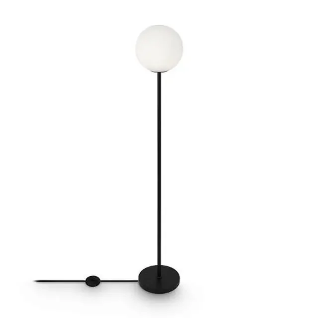 Ring Black with White Diffuser Floor Lamp