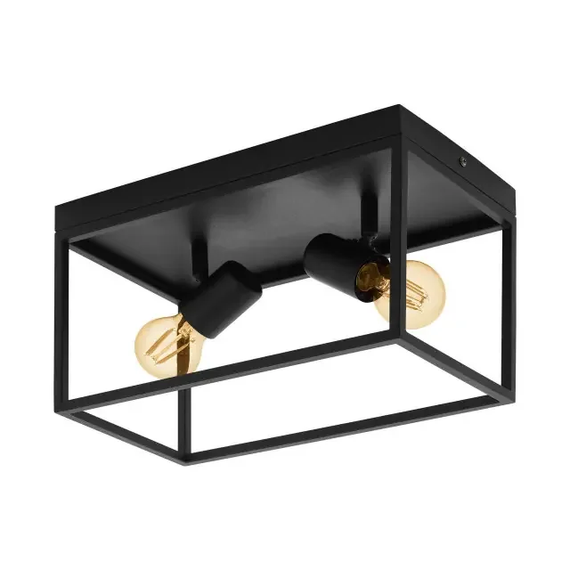 Silentina 2 Light Black Ceiling Light