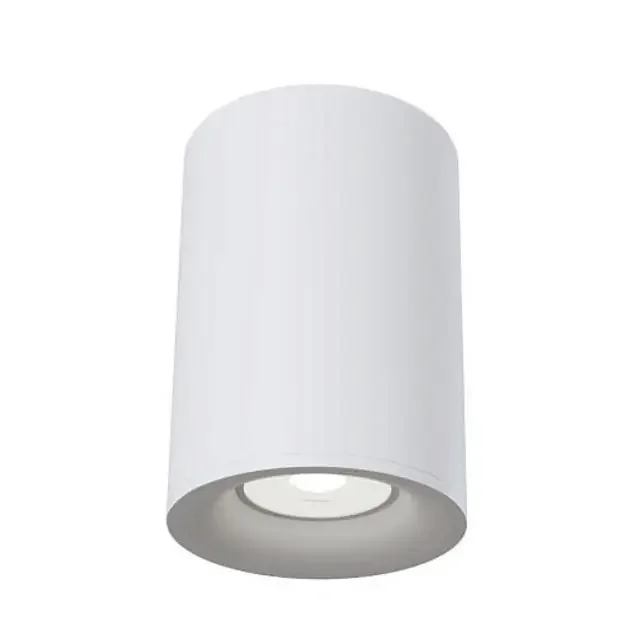 Slim White Surface Downlight
