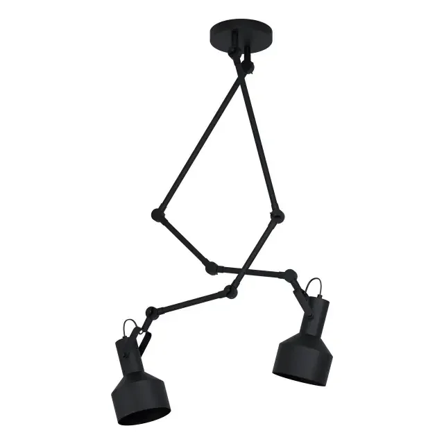 Takeley 2 Light Black 4 Link Adjustable Ceiling Spotlight