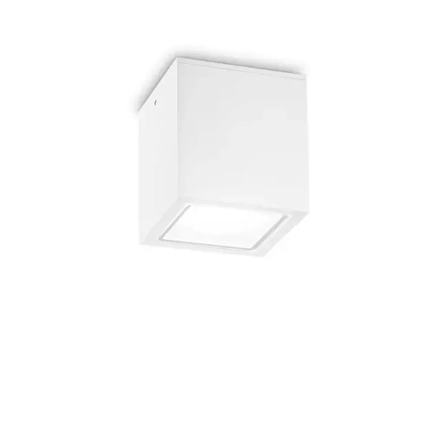 Techo PL1 White with Frosted Glass Diffuser 16cm Surface Ceiling Light