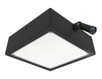 VANLED20F/PCS2 Canopy Lights 3260 Lumens VANLED 20W Flat Clear Lens 277V Swivel