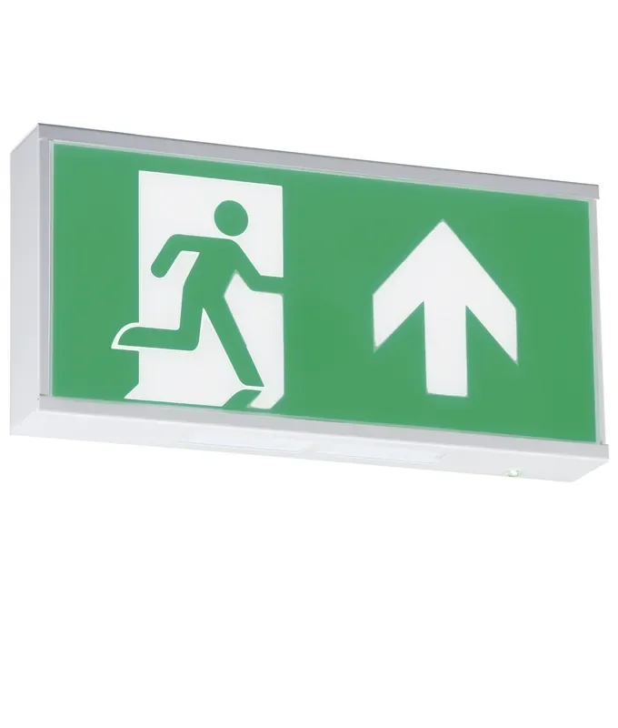 Wall Mounted Emergency Exit Sign