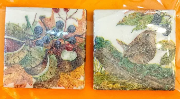 Wildlife Vintage Style Ceramic Magnets (2 pack)