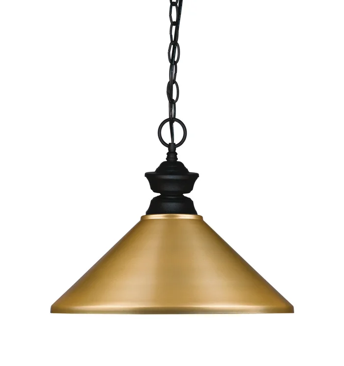 Z-Lite 100701MB-MSG Pendant Lights One Light Pendant, Matte Black
