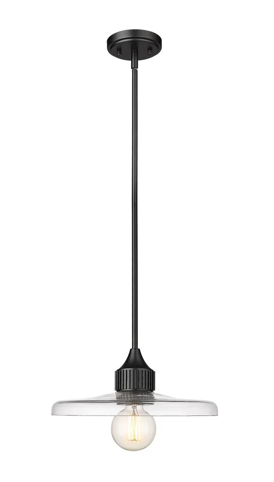 Z-Lite 821P14-MB Paloma One Light Pendant, Matte Black
